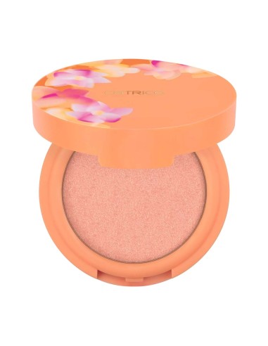 Catrice Seeking Flowers Cream-To-Powder Highlighter C02 Apriglow 5.5g