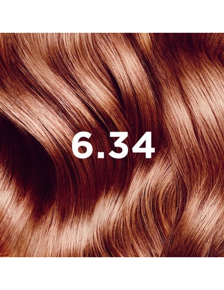 Phyto Color Permanent Hair Color with Plant Pigments 6.34 Dark Copper Blonde Intense Phyto Color Permanent Hair Color with Plant Pigments 6.34 Dark Copper Blonde Intense